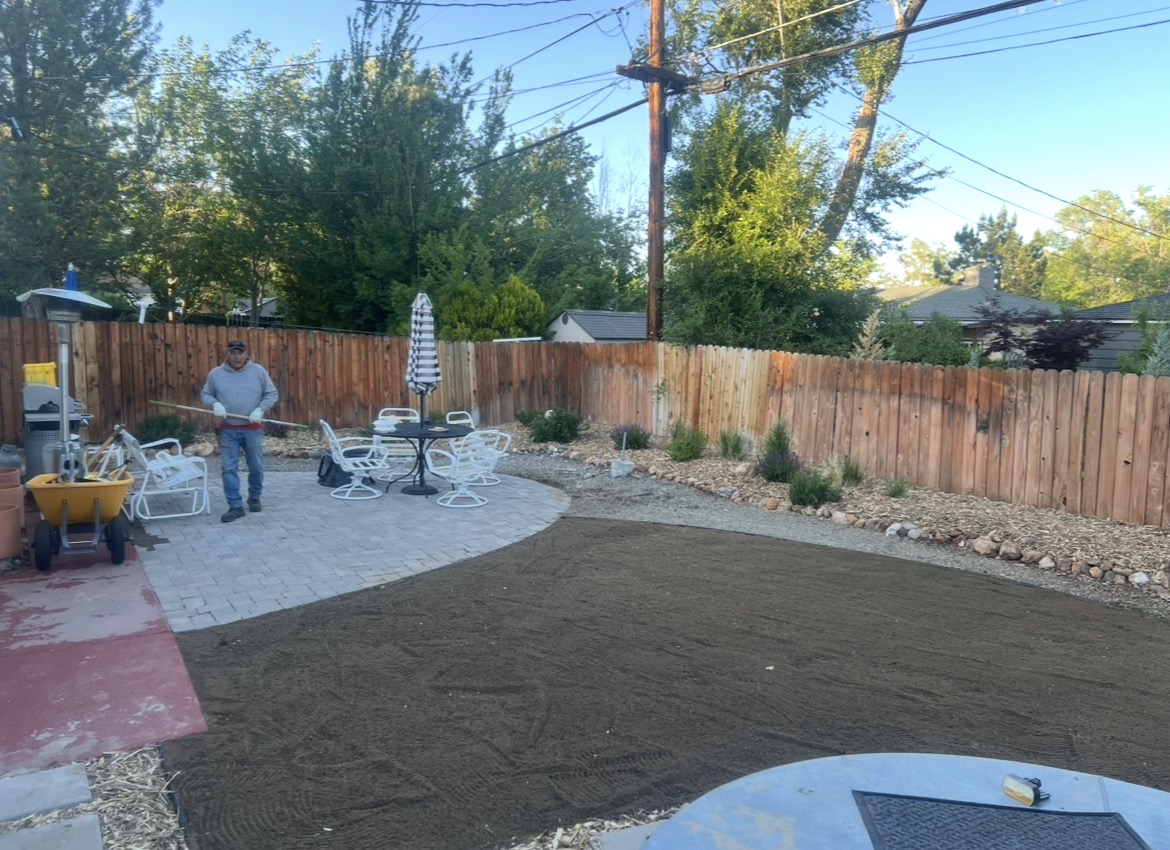 Backyard sod prep next to new paver patio