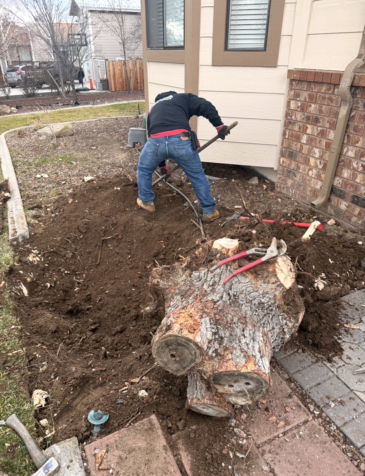 Tree and stump removal in progress